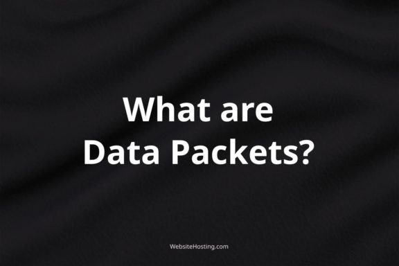 what are Data Packets