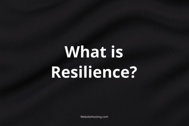 Resilience Explained: What it Means and Why it Matters in Web Hosting